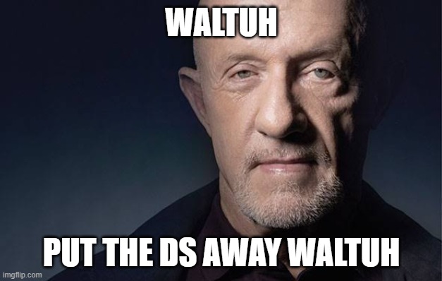 Kid Named | WALTUH PUT THE DS AWAY WALTUH | image tagged in kid named | made w/ Imgflip meme maker