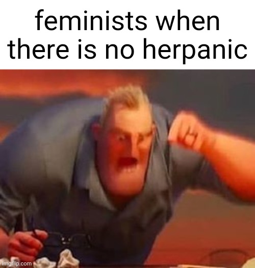 just hispanic | feminists when there is no herpanic | image tagged in mr incredible mad | made w/ Imgflip meme maker