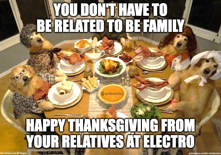 For my coworkers in a morale crisis... | YOU DON'T HAVE TO BE RELATED TO BE FAMILY; HAPPY THANKSGIVING FROM YOUR RELATIVES AT ELECTRO | image tagged in dog thanksgiving | made w/ Imgflip meme maker