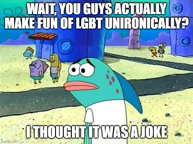 please don't kill me | WAIT, YOU GUYS ACTUALLY MAKE FUN OF LGBT UNIRONICALLY? I THOUGHT IT WAS A JOKE | image tagged in wait you guys actually ___ | made w/ Imgflip meme maker