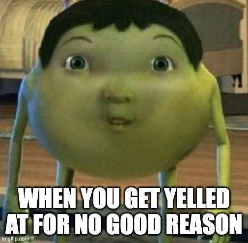 WHEN YOU GET YELLED AT FOR NO GOOD REASON | image tagged in ice age baby | made w/ Imgflip meme maker
