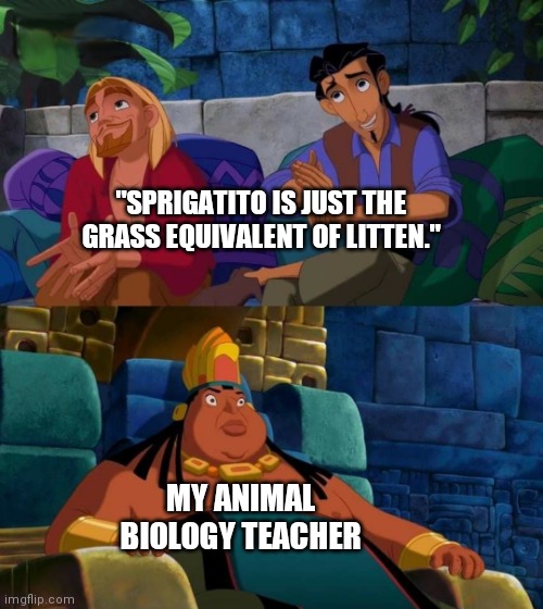 road to el dorado | "SPRIGATITO IS JUST THE GRASS EQUIVALENT OF LITTEN."; MY ANIMAL BIOLOGY TEACHER | image tagged in road to el dorado,pokemon,memes | made w/ Imgflip meme maker