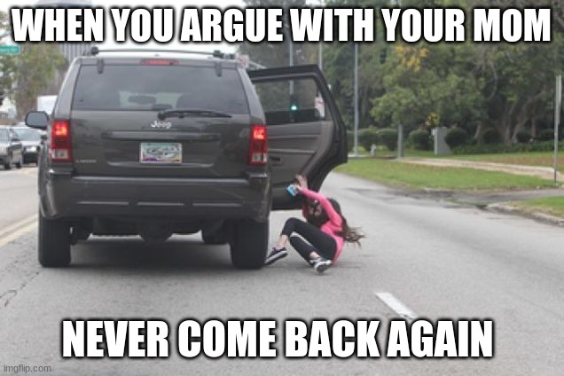 do not argue with your mom or else... | WHEN YOU ARGUE WITH YOUR MOM; NEVER COME BACK AGAIN | image tagged in kicked out of car | made w/ Imgflip meme maker
