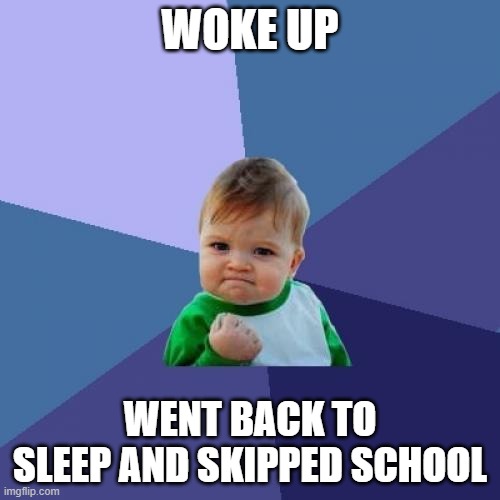 Success Kid | WOKE UP; WENT BACK TO SLEEP AND SKIPPED SCHOOL | image tagged in memes,success kid | made w/ Imgflip meme maker