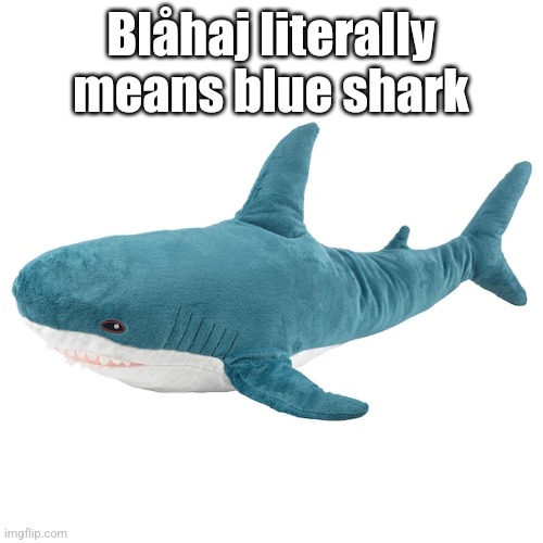 Because it's blue... | Blåhaj literally means blue shark | image tagged in bl haj | made w/ Imgflip meme maker