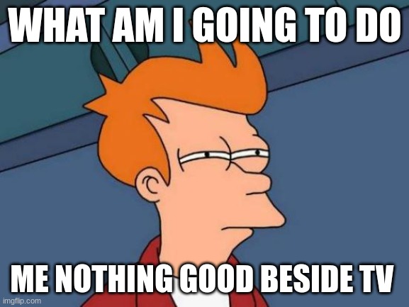 Me have nothing to do am i right | WHAT AM I GOING TO DO; ME NOTHING GOOD BESIDE TV | image tagged in memes,futurama fry | made w/ Imgflip meme maker