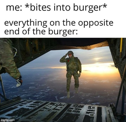 image tagged in burger | made w/ Imgflip meme maker