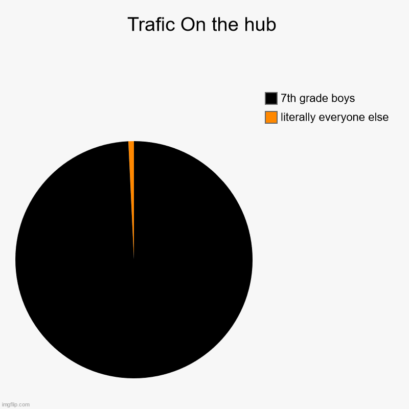 Trafic On the hub | literally everyone else, 7th grade boys | image tagged in charts,pie charts | made w/ Imgflip chart maker