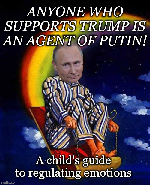 Random Hitler |  ANYONE WHO SUPPORTS TRUMP IS AN AGENT OF PUTIN! A child's guide to regulating emotions | image tagged in random hitler | made w/ Imgflip meme maker