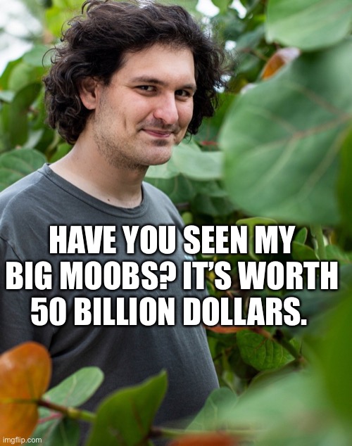 Moobs | HAVE YOU SEEN MY BIG MOOBS? IT’S WORTH 50 BILLION DOLLARS. | image tagged in sbf | made w/ Imgflip meme maker