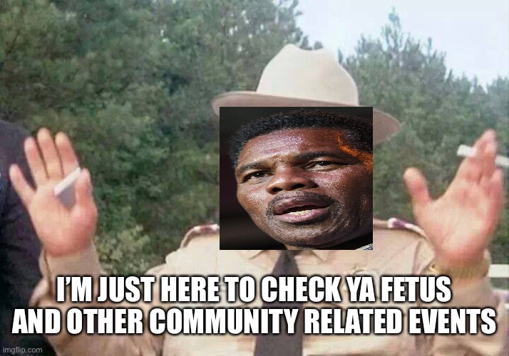 Sheriff Justice | I’M JUST HERE TO CHECK YA FETUS AND OTHER COMMUNITY RELATED EVENTS | image tagged in sheriff justice | made w/ Imgflip meme maker