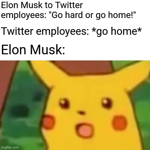 Surprised Pikachu | Elon Musk to Twitter employees: "Go hard or go home!"; Twitter employees: *go home*; Elon Musk: | image tagged in memes,surprised pikachu,twitter,elon musk | made w/ Imgflip meme maker