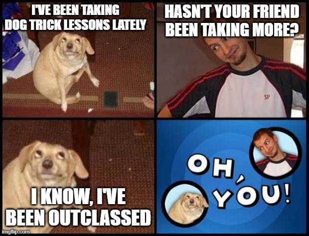Dog trick lessons | I'VE BEEN TAKING DOG TRICK LESSONS LATELY; HASN'T YOUR FRIEND BEEN TAKING MORE? I KNOW, I'VE BEEN OUTCLASSED | image tagged in oh you,dad joke | made w/ Imgflip meme maker