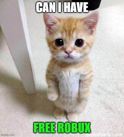 Cute Cat | CAN I HAVE; FREE ROBUX | image tagged in memes,cute cat | made w/ Imgflip meme maker