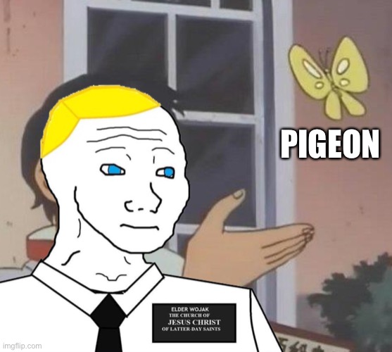 Learning the names of things with BritishMormon. Help me name more things | PIGEON | image tagged in is this a pigeon britishmormon,help,me,name,more,things | made w/ Imgflip meme maker