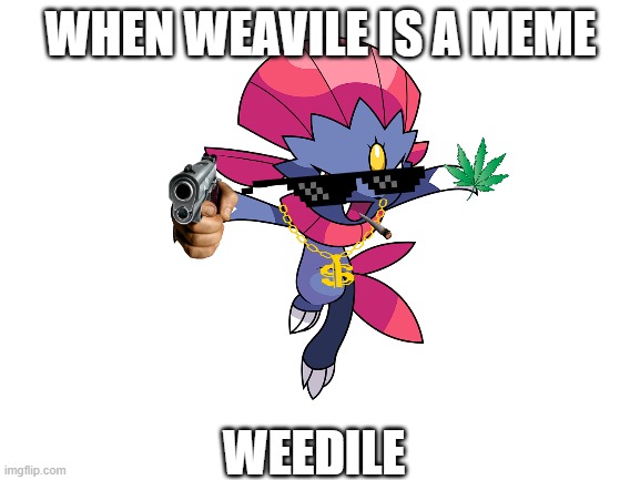 weedile | WHEN WEAVILE IS A MEME; WEEDILE | image tagged in blank white template,pokemon | made w/ Imgflip meme maker