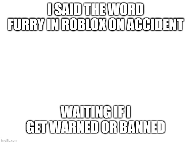 d |  I SAID THE WORD FURRY IN ROBLOX ON ACCIDENT; WAITING IF I GET WARNED OR BANNED | image tagged in dfgdfghsfdhsdf | made w/ Imgflip meme maker