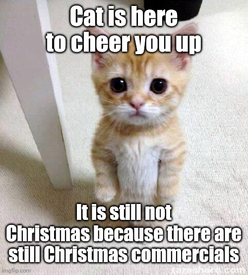 Cat is here to cheer you up | Cat is here to cheer you up; It is still not Christmas because there are still Christmas commercials | image tagged in memes,cute cat,funny,christmas | made w/ Imgflip meme maker