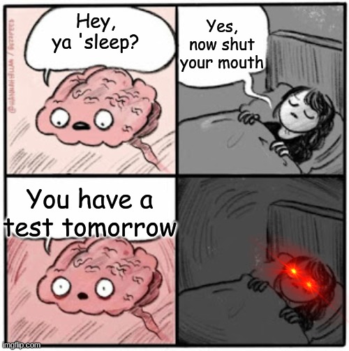 Why- | Yes, now shut your mouth; Hey, ya 'sleep? You have a test tomorrow | image tagged in brain before sleep,test,school,why,help,funny | made w/ Imgflip meme maker