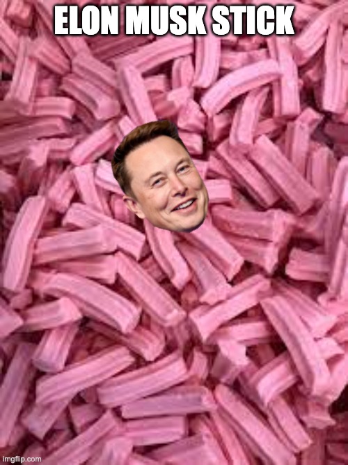 Elon musk tastes really good |  ELON MUSK STICK | image tagged in elon musk | made w/ Imgflip meme maker