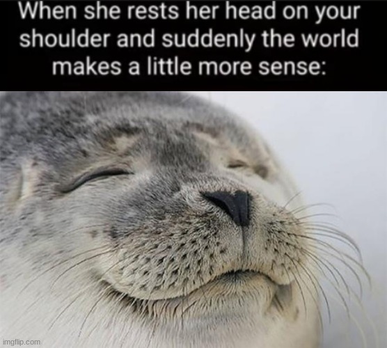 relatable | image tagged in memes,satisfied seal | made w/ Imgflip meme maker