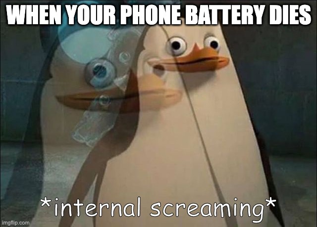 internal streaming ;) | WHEN YOUR PHONE BATTERY DIES | image tagged in private internal screaming | made w/ Imgflip meme maker