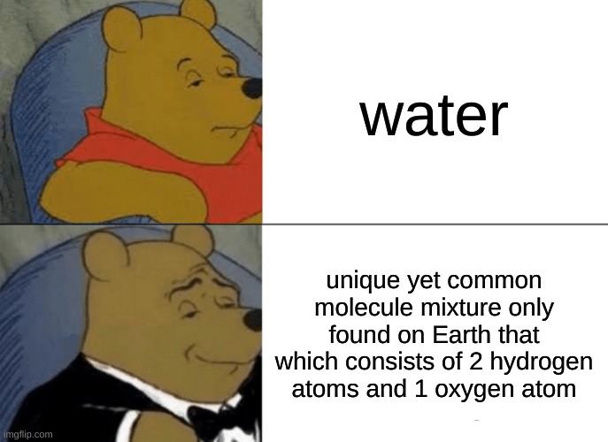 fvhmyjh | water; unique yet common molecule mixture only found on Earth that which consists of 2 hydrogen atoms and 1 oxygen atom | image tagged in memes,tuxedo winnie the pooh | made w/ Imgflip meme maker