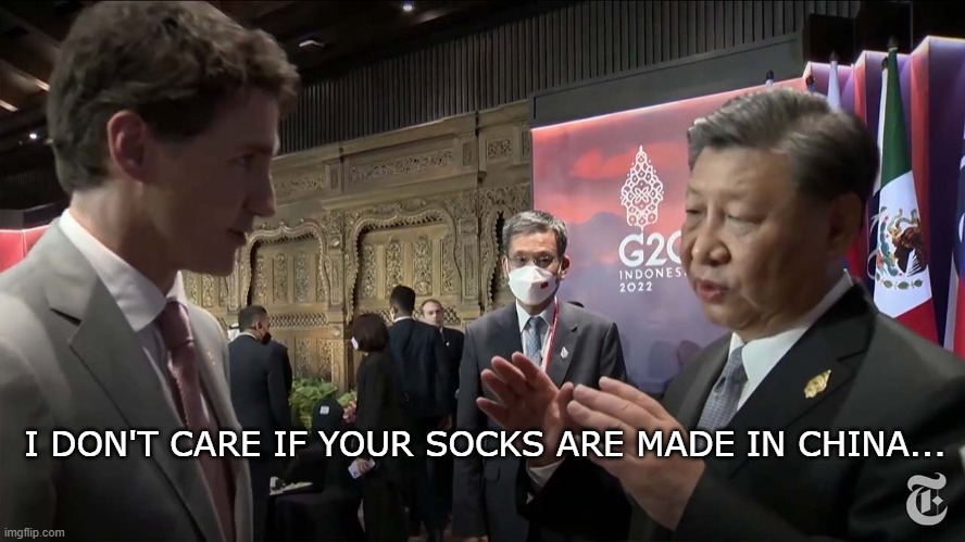 Pooh Bear chastises Sock Boy | I DON'T CARE IF YOUR SOCKS ARE MADE IN CHINA... | image tagged in canada,meanwhile in canada,china,xi jinping,justin trudeau | made w/ Imgflip meme maker