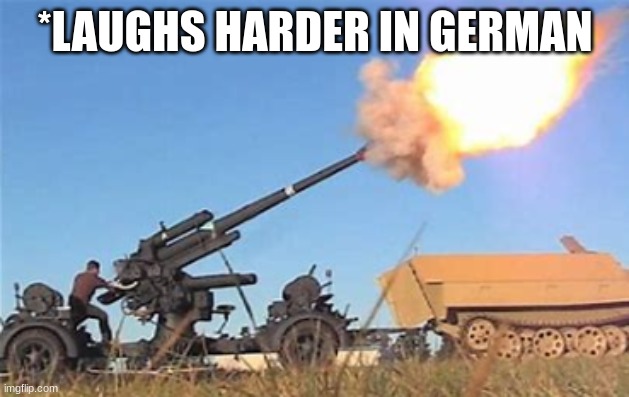 Flak gun | *LAUGHS HARDER IN GERMAN | image tagged in flak gun | made w/ Imgflip meme maker