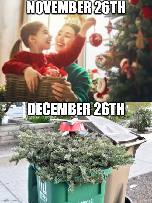 Sweety, when the FM station playing all Christmas music goes back to Madonna and Billy Idol... | NOVEMBER 26TH; DECEMBER 26TH | image tagged in mom and daughter christmas tree,memes,christmas,christmas tree | made w/ Imgflip meme maker
