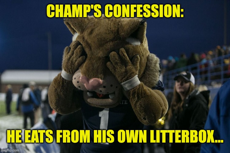 Champ Confessions | CHAMP'S CONFESSION:; HE EATS FROM HIS OWN LITTERBOX... | image tagged in cats | made w/ Imgflip meme maker