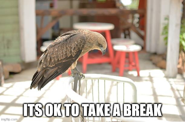 Its OK to take a break |  ITS OK TO TAKE A BREAK | image tagged in relax,tired | made w/ Imgflip meme maker