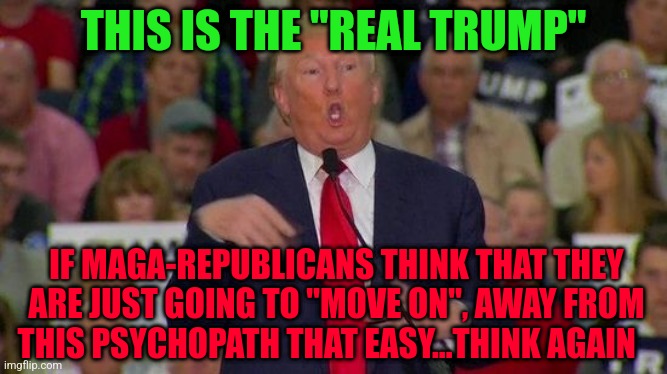 Trump disabled | THIS IS THE "REAL TRUMP"; IF MAGA-REPUBLICANS THINK THAT THEY ARE JUST GOING TO "MOVE ON", AWAY FROM THIS PSYCHOPATH THAT EASY...THINK AGAIN | image tagged in trump disabled | made w/ Imgflip meme maker