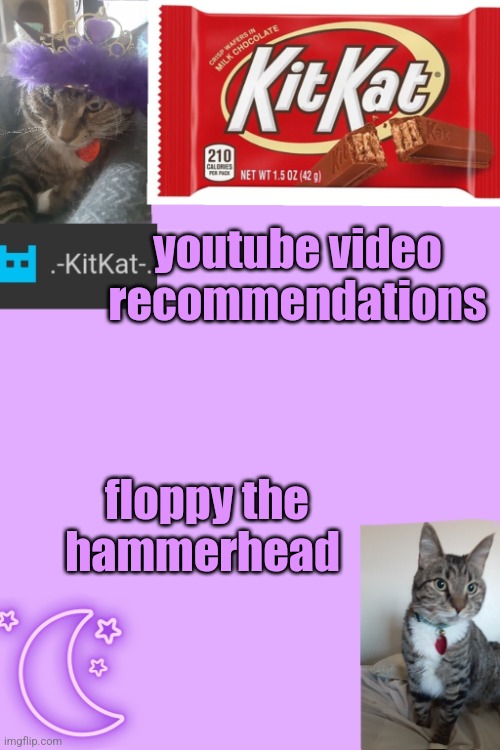 Kittys announcement template kitkat addition | youtube video recommendations; floppy the hammerhead | image tagged in kittys announcement template kitkat addition | made w/ Imgflip meme maker