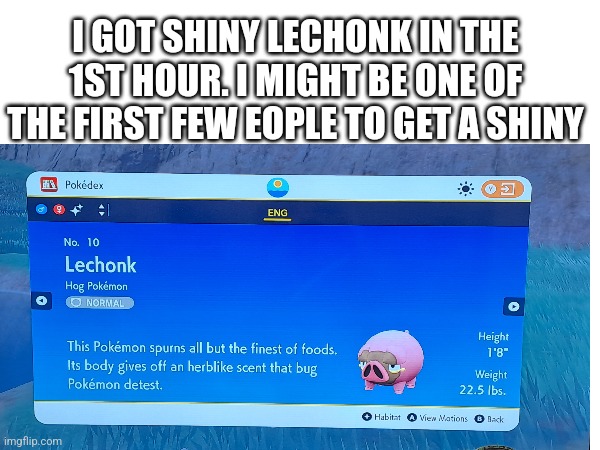 SHINY | I GOT SHINY LECHONK IN THE 1ST HOUR. I MIGHT BE ONE OF THE FIRST FEW EOPLE TO GET A SHINY | image tagged in pokemon | made w/ Imgflip meme maker