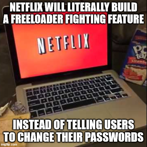 Not so chill anymore | NETFLIX WILL LITERALLY BUILD A FREELOADER FIGHTING FEATURE; INSTEAD OF TELLING USERS TO CHANGE THEIR PASSWORDS | image tagged in netflix and poptarts | made w/ Imgflip meme maker