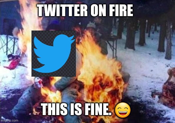 Twitter On Fire | TWITTER ON FIRE; THIS IS FINE. 😄 | image tagged in memes,ligaf,twitter,elon musk | made w/ Imgflip meme maker