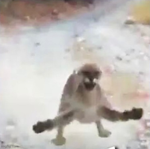 Gougar | image tagged in gougar | made w/ Imgflip meme maker