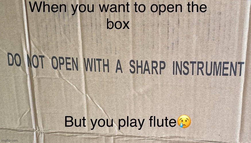 Behold, the first meme I made | image tagged in flute,sharp,band,memes,first meme | made w/ Imgflip meme maker