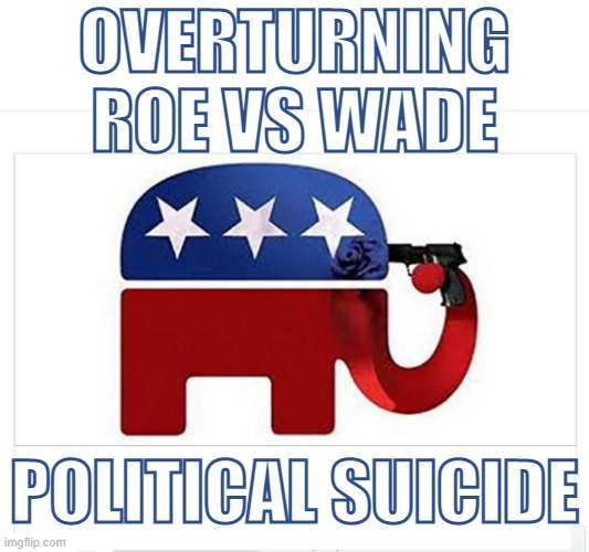 I foretold of this, the day women's rights died. | image tagged in political,suicide,women's rights,taken,away,dumb | made w/ Imgflip meme maker
