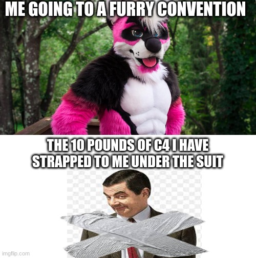 btw I'm not a furry | ME GOING TO A FURRY CONVENTION; THE 10 POUNDS OF C4 I HAVE STRAPPED TO ME UNDER THE SUIT | image tagged in memes,i'mnotafurry,jokes | made w/ Imgflip meme maker