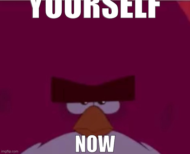 YOURSELF; NOW | made w/ Imgflip meme maker