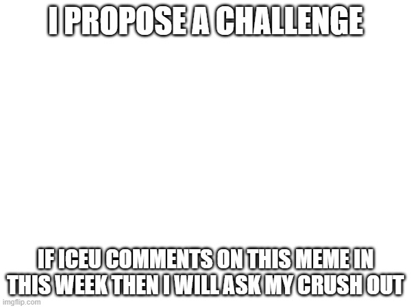 I PROPOSE A CHALLENGE; IF ICEU COMMENTS ON THIS MEME IN THIS WEEK THEN I WILL ASK MY CRUSH OUT | image tagged in meme | made w/ Imgflip meme maker