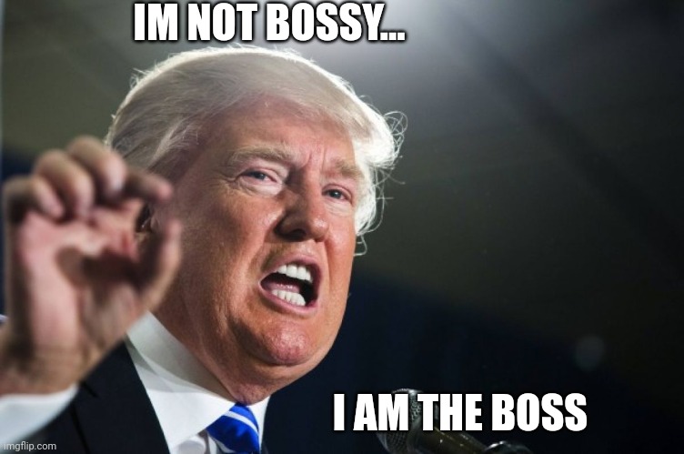 donald trump | IM NOT BOSSY... I AM THE BOSS | image tagged in donald trump | made w/ Imgflip meme maker