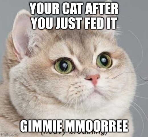 Heavy Breathing Cat Meme | YOUR CAT AFTER YOU JUST FED IT; GIMMIE MMOORREE | image tagged in memes,heavy breathing cat | made w/ Imgflip meme maker