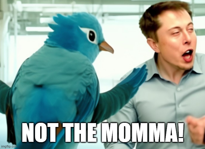 Elon Musk new Twitter CEO | NOT THE MOMMA! | image tagged in elon musk twitter ceo | made w/ Imgflip meme maker