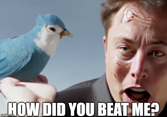 Elon Musk vs. Twitter | HOW DID YOU BEAT ME? | image tagged in elon musk vs twitter | made w/ Imgflip meme maker