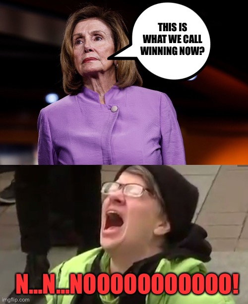 Buh Bye Madame Speaker! | THIS IS WHAT WE CALL WINNING NOW? N…N…NOOOOOOOOOOO! | image tagged in screaming liberal,bye nance,i bet pauly p will be happy,now you can play hide the hammer with him | made w/ Imgflip meme maker