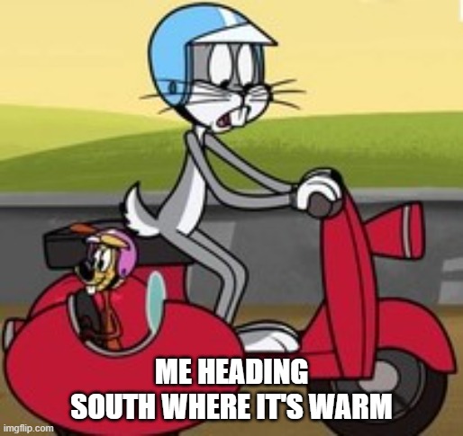 Leaving canada, leaving winter, cold, funny | ME HEADING SOUTH WHERE IT'S WARM | image tagged in funny meme,holidys,heading south,laugh,bugs bunny | made w/ Imgflip meme maker