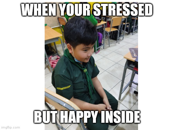 WHEN YOUR STRESSED; BUT HAPPY INSIDE | made w/ Imgflip meme maker